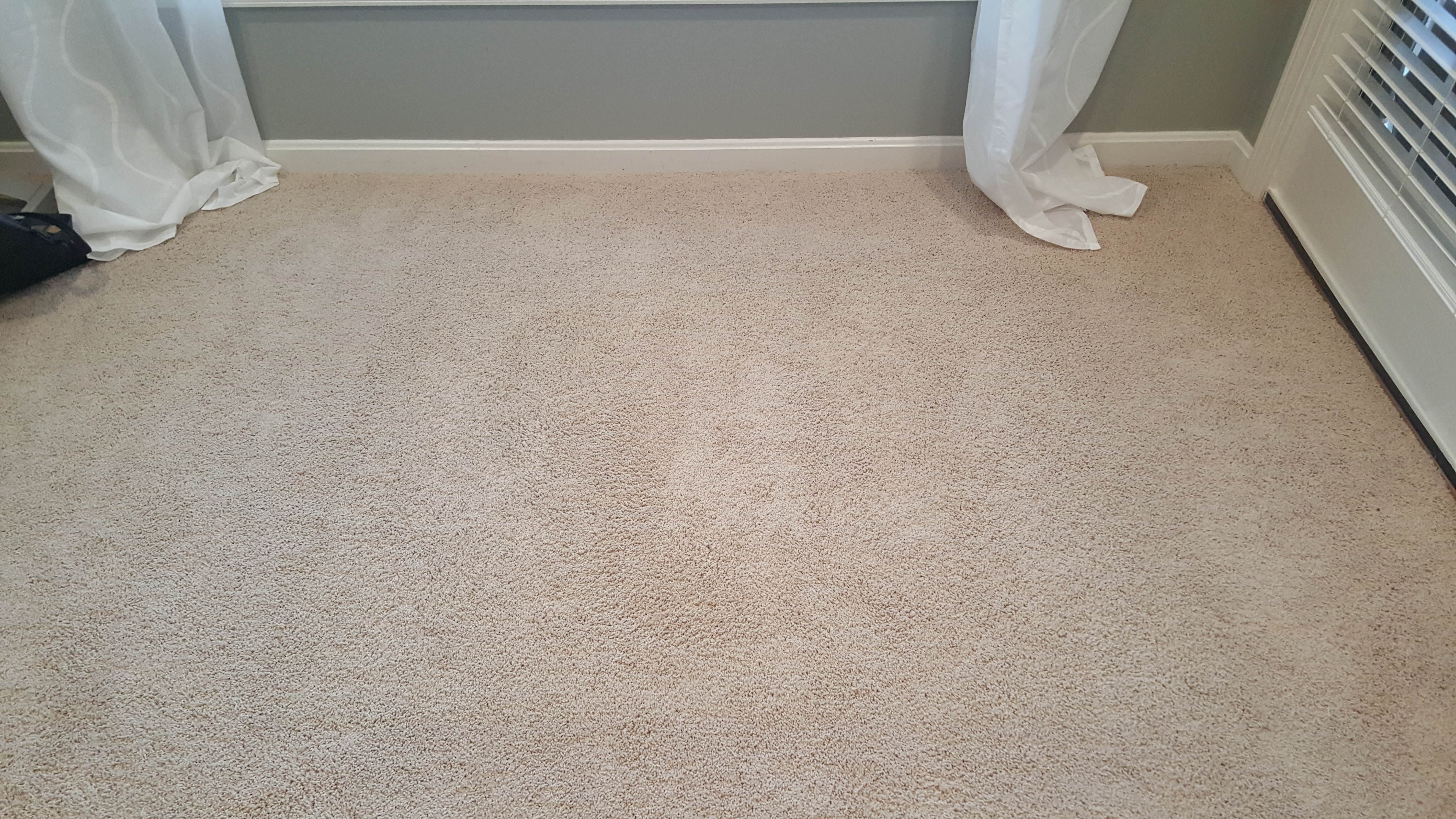 Bethesda MD Carpet Repair