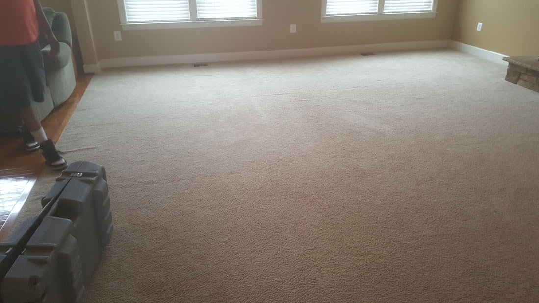 MD Carpet stretching and cleaning