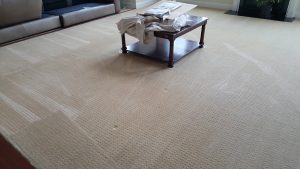 Potomac MD Carpet Stretching and Cleaning